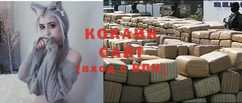 COCAIN Fish Scale  как найти закладки  Тюмень 