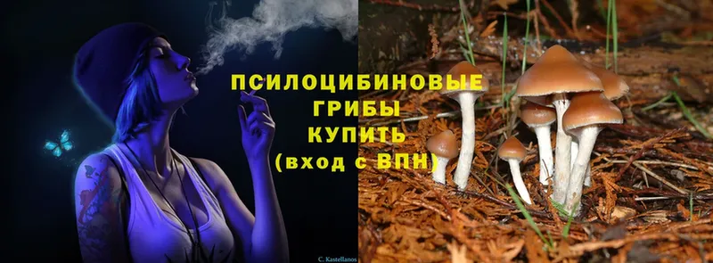 Галлюциногенные грибы MAGIC MUSHROOMS  Тюмень 